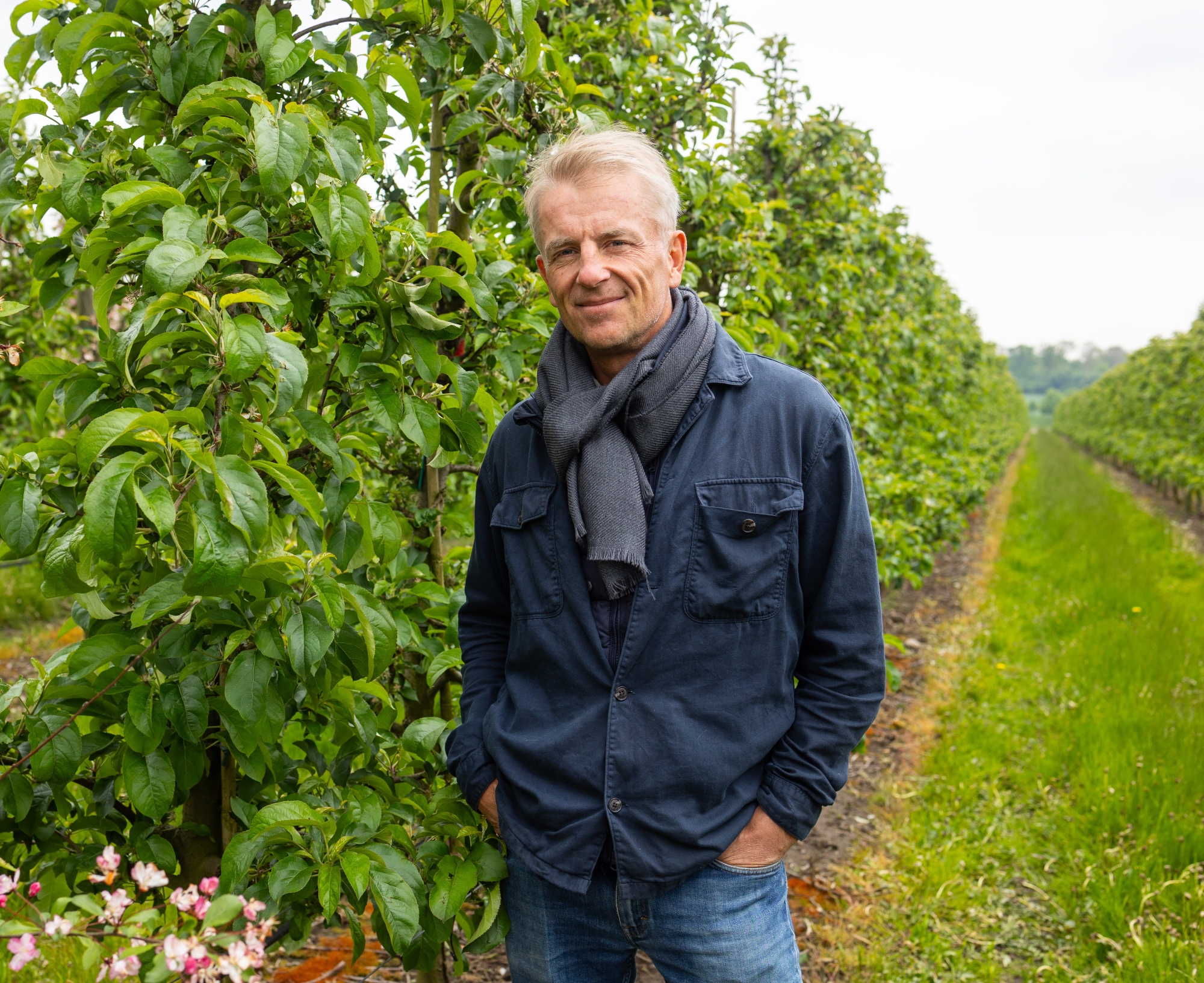 Jan Ehrensvärd i äppelodlingen